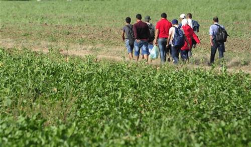 За недељу дана 500 миграната покушало улазак у Мађарску