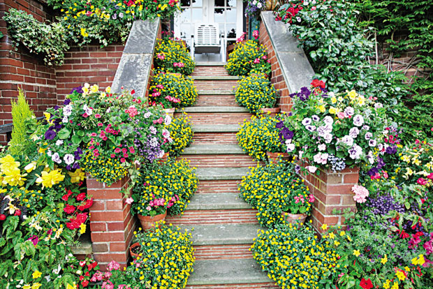 Украсите степенице цвећем 