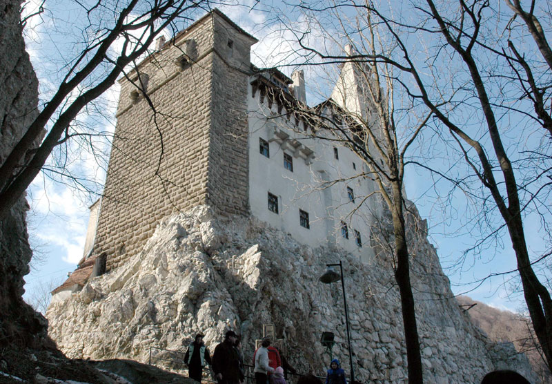 ЗАТВОРЕН ДРАКУЛИН ЗАМАК: Медведи опсели дворац Бран