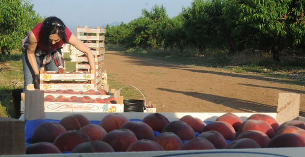 Отворена врата за сезонце