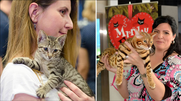 Удомите мацу свог живота на Мрњау викенду!