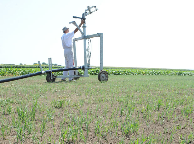 Њиве без заштите