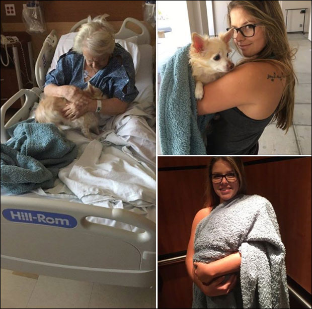 Маскирала пса у бебу и увела га у болницу код баке (ФОТО)