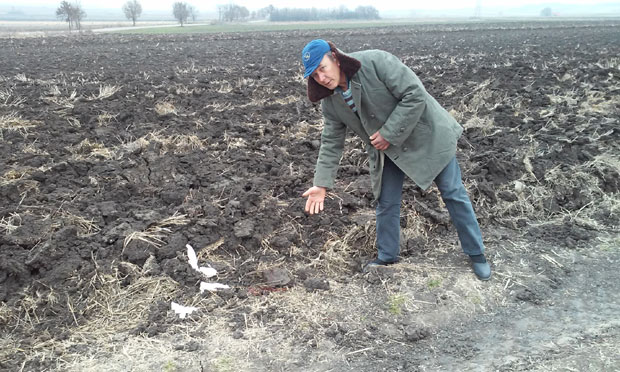 Потврђена оптужница за отмицу и убиство Гордане Јосифовић