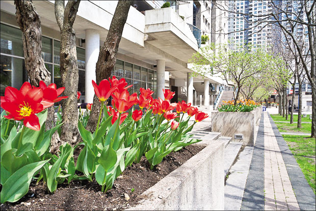 Башта испред зграде