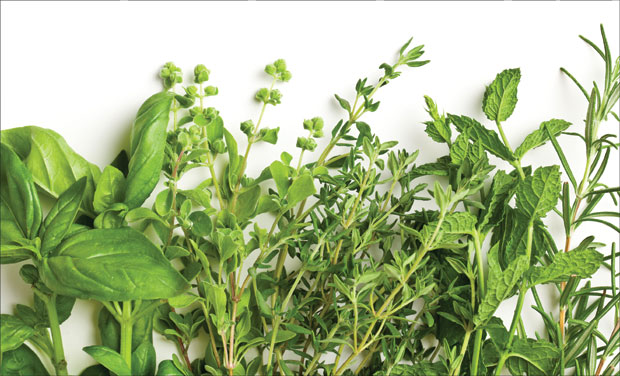 Како чувати свеже зачине