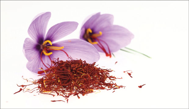 Шафран снижава холестерол