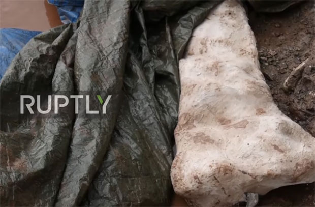 ПОГЛЕДАЈТЕ: Откривен фосил праисторијског џина високог 20 метара!