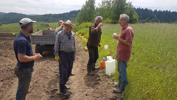 На висоравнима Златара хељда и спелта оживеле села