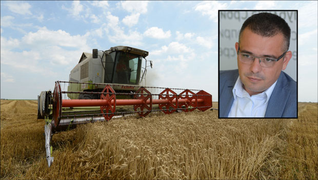 Биће пшенице и за извоз
