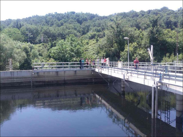 Мељине гуши смрад