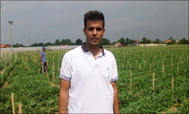 Уб гаји нови грашак