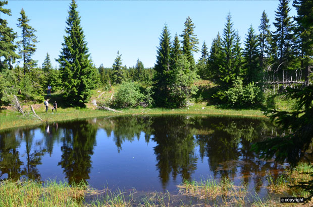 Туристи воле немањићке стазе под Беримом