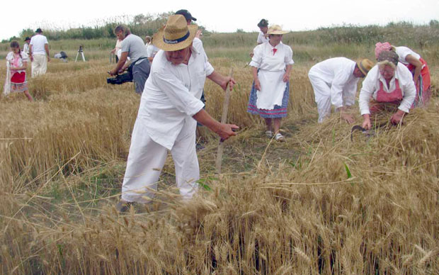 Жетелачка свечаност у Мужљи: У славу хлеба 