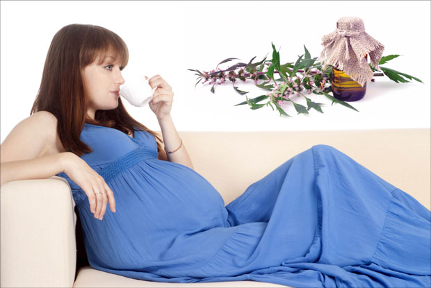 Срчаник - Мелем за срце од античког доба