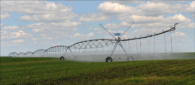 Наводњавамо једва три одсто њива