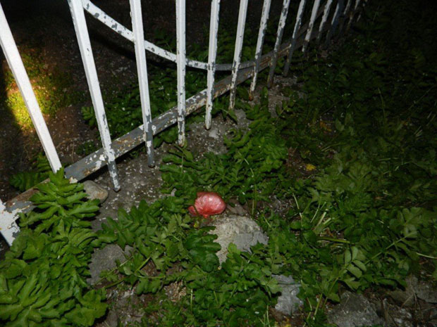 Ухапшене Нишлије због продаје кокаина 
