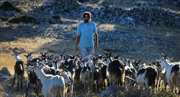 У мом Голубићу сунце другачије греје
