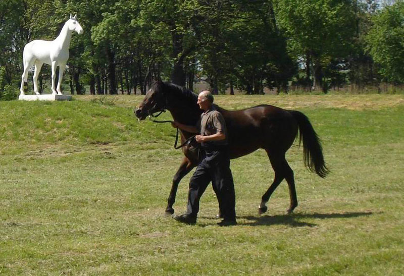 Прошла опасност од заразе
