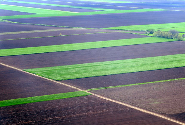 Свега 10 одсто њива у Србији је осигурано