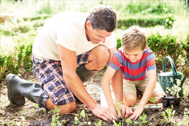 Шта сејати у јулу
