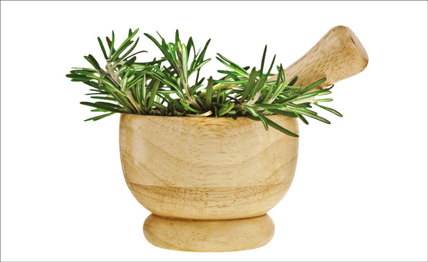 Рузмарин - за бољи укус јела и здравље тела