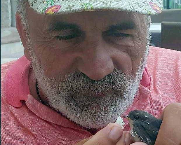 ШПИЈУНКА: Лечи ластавицу