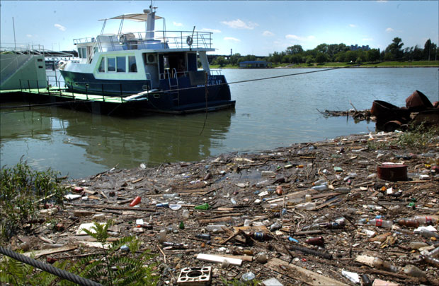 ТРУЈЕМО САМИ СЕБЕ: Дунав, Сава и Морава као септичке јаме