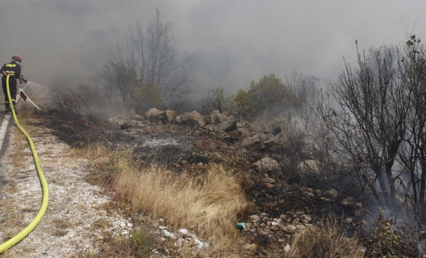 Пожар на планини Чврсници се проширио према рејону Пограда, ватрогасци дежурају 24 сата