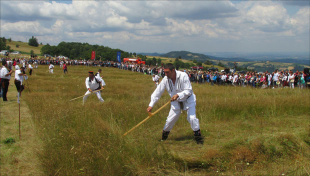 Златна коса младом Вуку