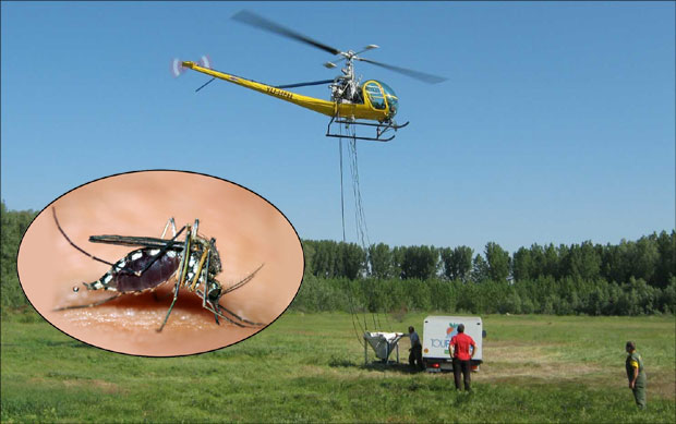 ЕПИДЕМИОЛОЗИ О ВИРУСУ ЗАПАДНОГ НИЛА: Убод комарца опасан за старе и болесне!