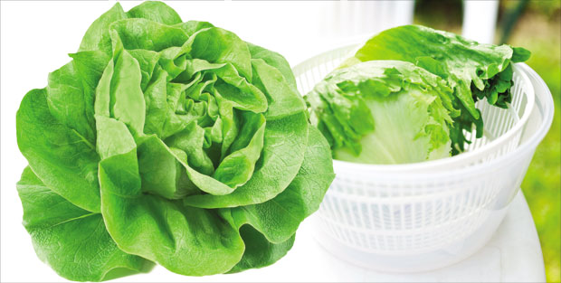 Благотворна зелена салата