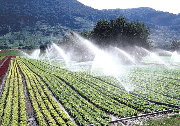 Влага дуже траје