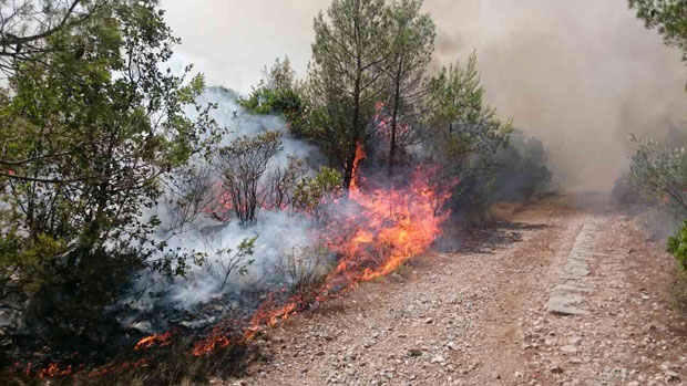 ТРАГЕДИЈА КОД СРПЦА: Угушио се палећи коров на њиви