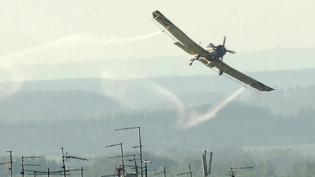 Вирус Западног Нила прети у Београду, Панчеву и Зрењанину