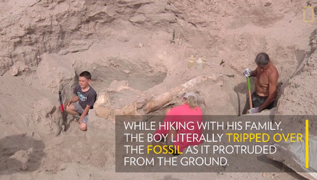 Дечак се спотакао и пронашао фосил стар 1,2 милиона година
