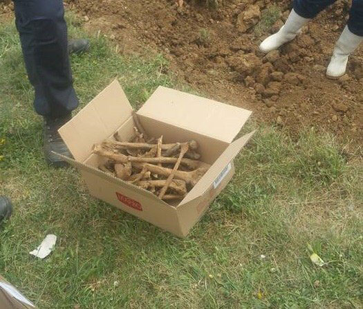 Испитати чије су кости у темељима зграде Хитне помоћи