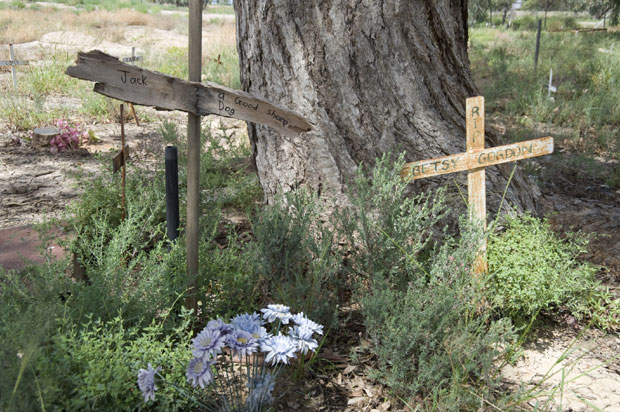 Гробље за љубимце догодине