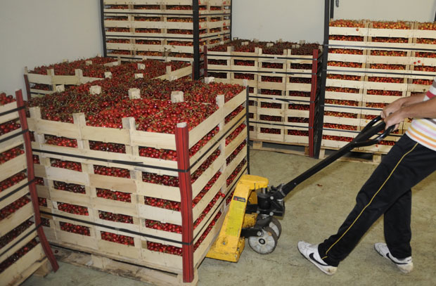 Русима продавао српско воће из ЕУ