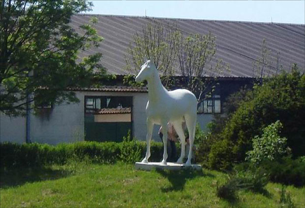 Ергела Љубичево : Лавиринт на 2,5 хектара