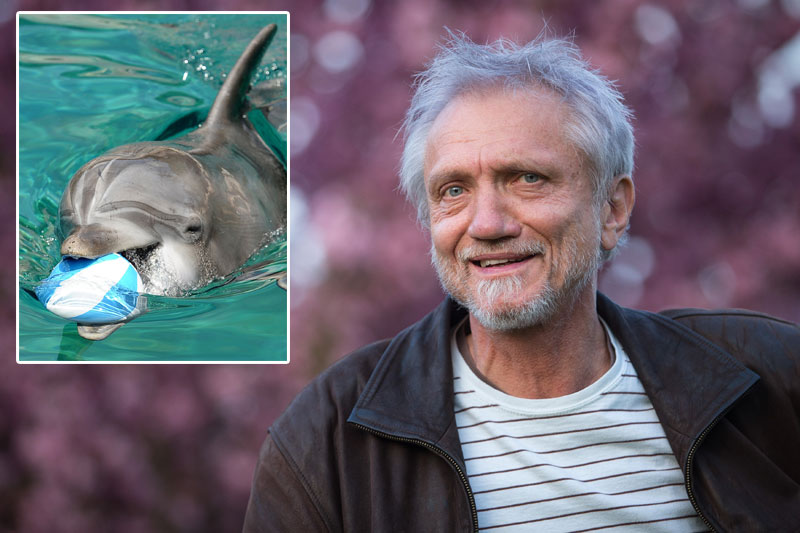 Рундек постао деда делфина