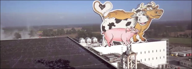 Прва фарма у новембру а друга наредног лета