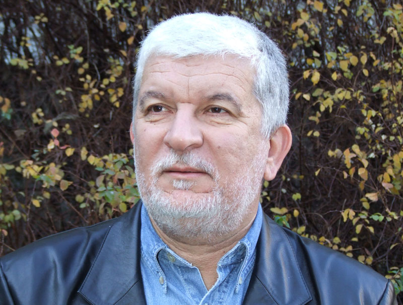 Недељко Терзић: Органске шаре