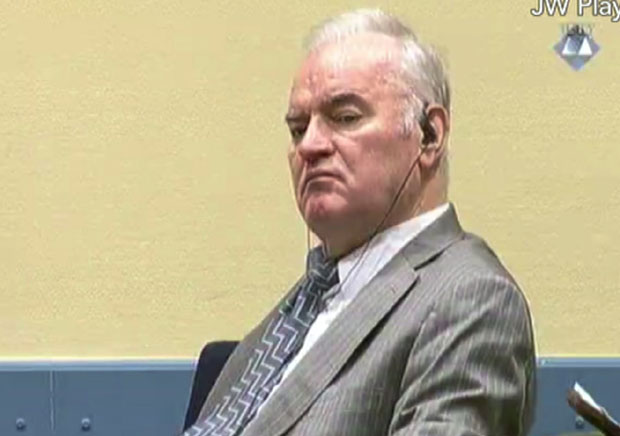 Хаг крио Младићеве мождане ударе