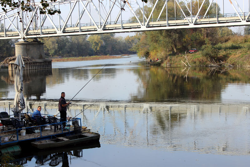 Сомове нервирају вибрације варалица