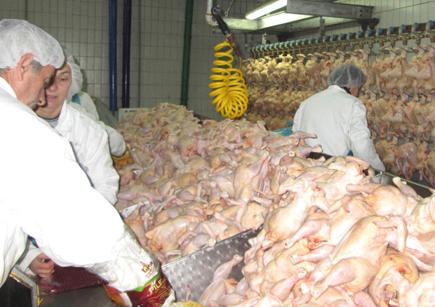 Агрожив у Житишту: Радници добили отпремнине 