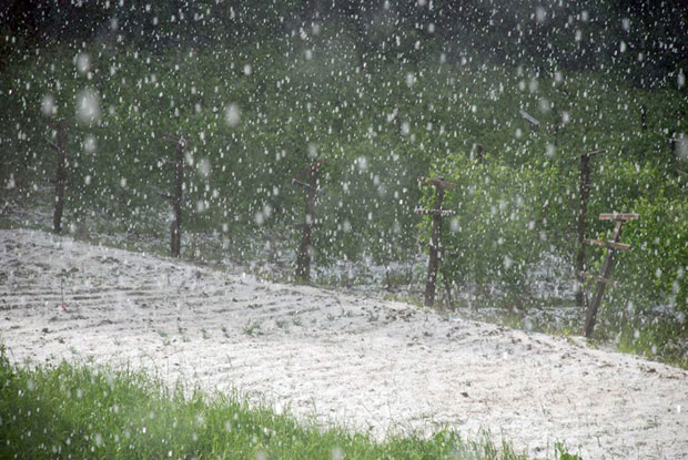 Недимовић: Ускоро аутоматизовани систем против града