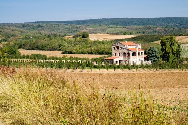 Приче са фрушкогорског сафарија 