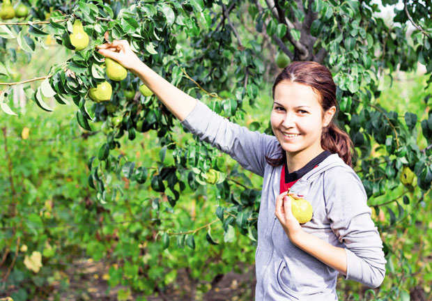 БЕРБА ДУЊЕ: Маље као знак зрелости