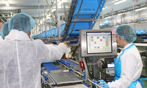 Мало у клупу, више у погон